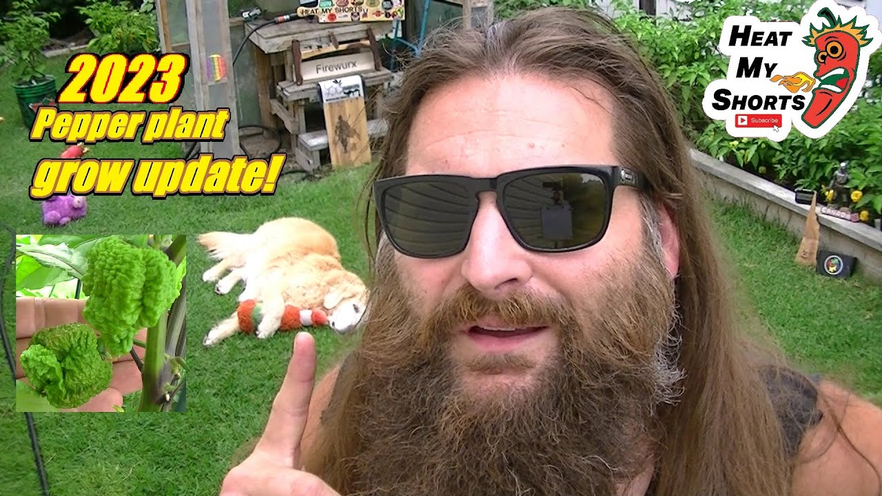 Tour De Plants! Hundreds of hot peppers..!! Aug 8, 2023 Grow Update