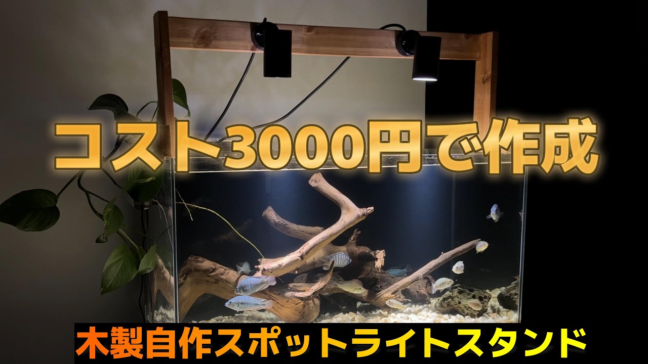 I Built a Custom Spotlight Stand for My Lake Victoria Cichlid Tank