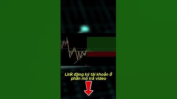 Rủi ro không giết bạn - Cái tôi mới là thứ làm bạn cháy tài khoản