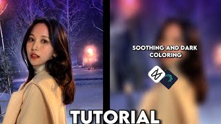 Dark Coloring and Soothing Coloring || Tutorial || Sunny bee 💖 ||  Alight Motion || MINA TWICE 💖✨