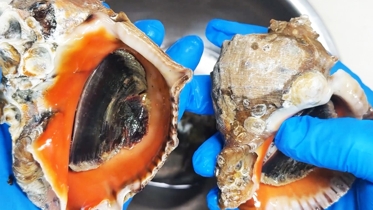 Enjoy lesser-known but delicious sea snails in an Italian style