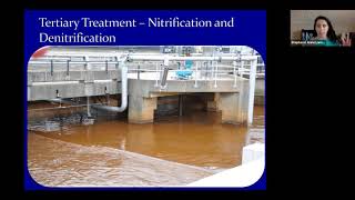 Wastewater treatment plants and anaerobic digestion