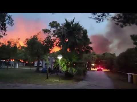 Incendio Vieste: evacuati per alcune ore turisti da camping