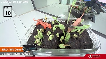 NRU-110V Demo: 3-exposure HDR
