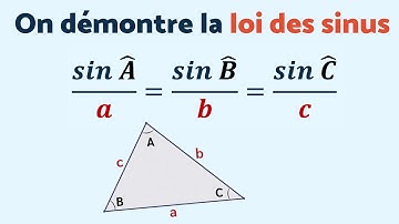 LA LOI DES SINUS