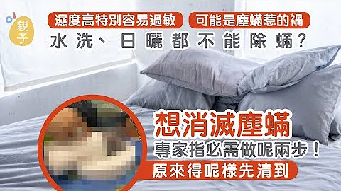 濕度高助長塵蟎生長 水洗日曬都不能清除 專家教路必需做呢兩步 - 天天要聞