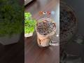 Oreo chocolate shake #oreo #chocolate #party #viral #trending #shorts #youtube#diwali #gta