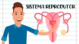 RESUMO - SISTEMA REPRODUTOR