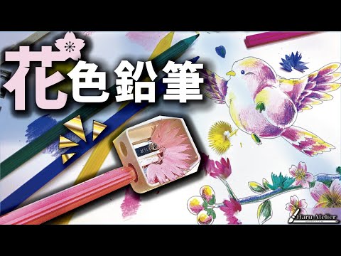 削りカスまで美しい 高級な 花色鉛筆 を3分レビュー Youtube