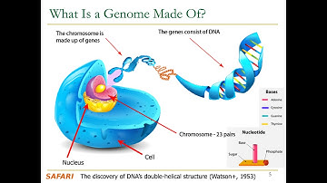 Computer Architecture - Lecture 3a: Introduction to Genome Sequence Analysis (ETH Zürich, Fall 2020)