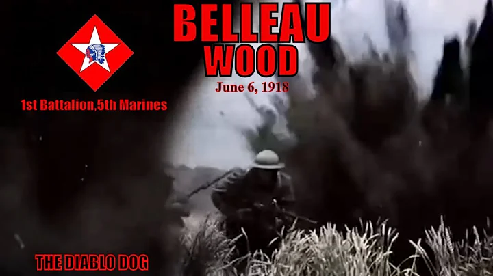 Battle for Belleau Wood: United States Marine Corps