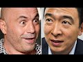 Joe Rogan Says He Would Support Andrew Yang for President