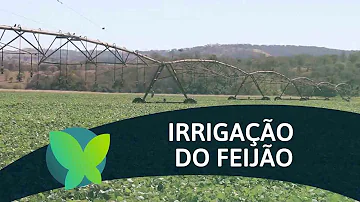 Qual a importância da irrigação do solo?