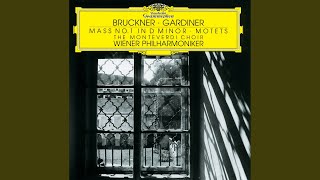 Bruckner: Os justi meditabitur sapientiam, WAB 30