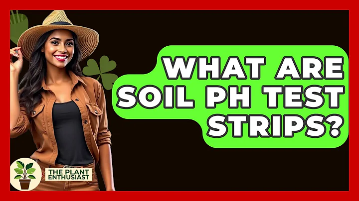 What Are Soil PH Test Strips? - The Plant Enthusiast