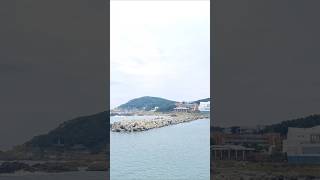 Fishing story in 2025-10-26 #바다낚시