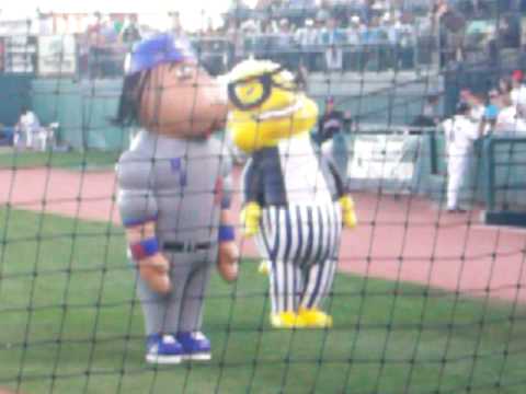 Zooperstars - YouTube