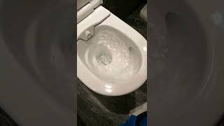 Perfect and Silent Toilet flush