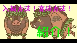 養豚 場 mix 伝説 級