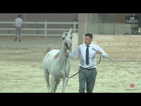  143     2025          1