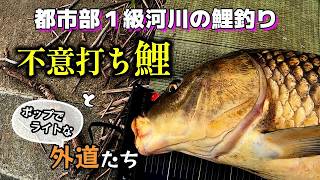 鯉釣り】都市型河川で巨鯉狙うも外道が愉快に邪魔をする！【DAISO