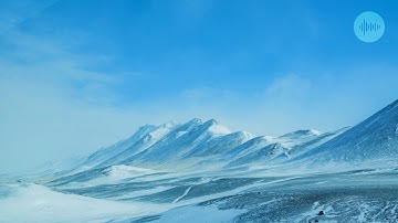 Zazenkai - Floe (KU 100 10Hz Rework / Official Video)