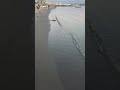 #albania #2025 #summer #balkan #travel #explore #beach #life #sunset #lover #pov #viral #shorts #new