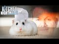 these chefs need a rat under their hat | Kitchen Nightmares