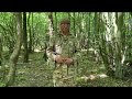 ACF Fieldcraft: Basic Field Signals (movement)