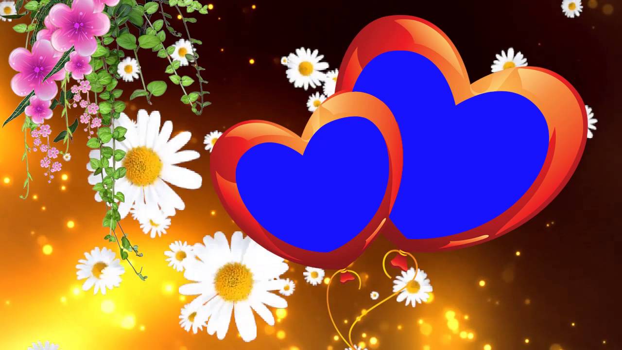 Blue Background Animated Heart Symbol Wedding Frame You Blue Background Animated Heart Symbol Wedding Frame