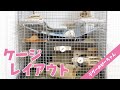 【デグー】赤ちゃんデグーでも安心なケージレイアウト！Degu Cage Tour