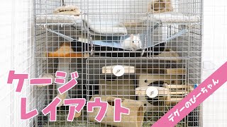 【デグー】赤ちゃんデグーでも安心なケージレイアウト！Degu Cage Tour