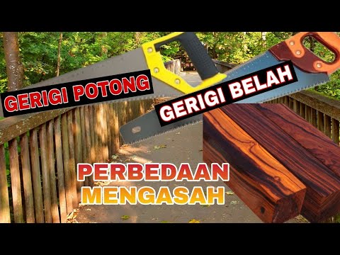 Video: Apakah dua teknik pemfailan yang paling biasa?