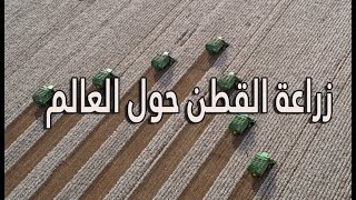 تعرف  على  تجارة القطن حول العالم #تجارتنا