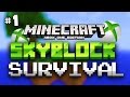 Minecraft Xbox One Skyblock Survival Part 1 Don t Fall Sky Block Minecraft XB1 Edition