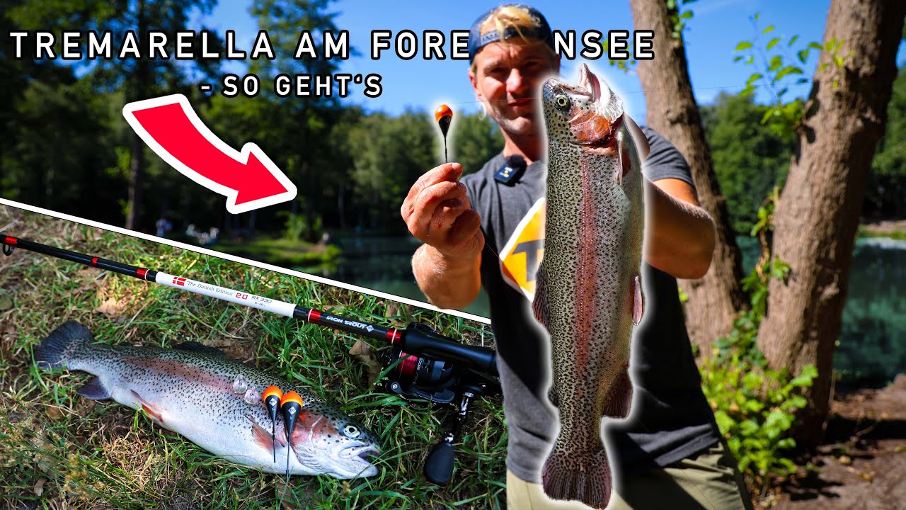 Tremarella am Forellensee | SO geht's! Erfolgreich mit Pose und Glas auf Forelle angeln