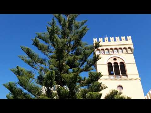 Video: Queste Panchine Coperte Di Muschio Assorbono Lo Stesso Inquinamento Di 275 Alberi