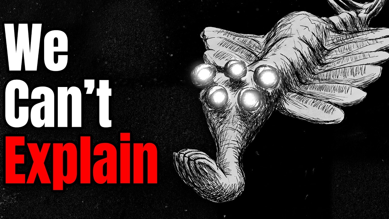 The Time The Earth Was Ruled By Giant Violent Shrimp