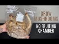 Growing mushrooms without a fruiting chamber