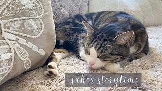 JAKE THE CAT AND HIS STORYTIME! by Sawyer's Wonderful Life 501 views 10 months ago 7 minutes, 25 seconds