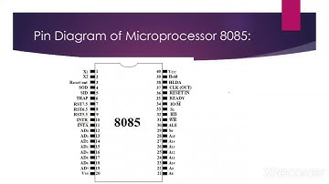 12th Computer Science-Introduction to Microprocessors and Organization of 8085