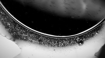 Dancing liquids - Microscopy Video of mixing fluids - fluid dynamics - floating art