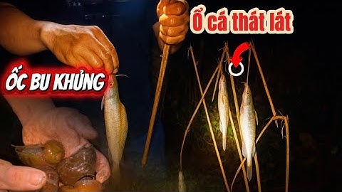 10 CẦN – 10 CON THÁT LÁT! CHUYẾN CẮM CÂU HỒ TỰ NHIÊN QUÁ ĐÃ 😳 + BẮT ĐƯỢC ỐC BU TO