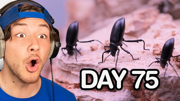 I Simulated Africa For 100 Days REACTION