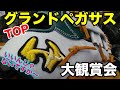 グランドペガサスTOP「スペシャルオーダー」ワールドペガサス Custom glove Worldpegasus【#2425】