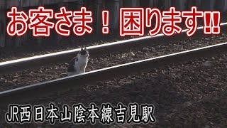 【駅に行って来た】山陰本線吉見駅の線路に座っていたお客さまに注意したら…どうなった