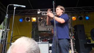 Video thumbnail of "Element of Crime - Rette mich vor mir selber| am 21.6.2014 in Berlin"