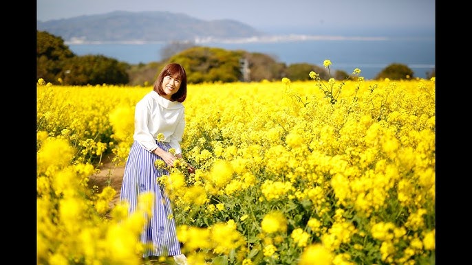 ドリンクバーラジオ 声優 俳優 ナレーター アル シェア 福岡支所チャンネル 17 Youtube ドリンクバーラジオ 声優 俳優 ナレーター アル シェア 福岡支所チャンネル 17 Youtube
