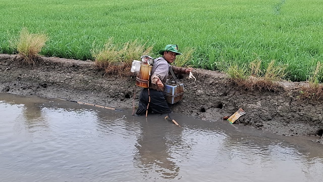Nay đi tét cây 14f nha cả nhà, nay trích theo lung nha
