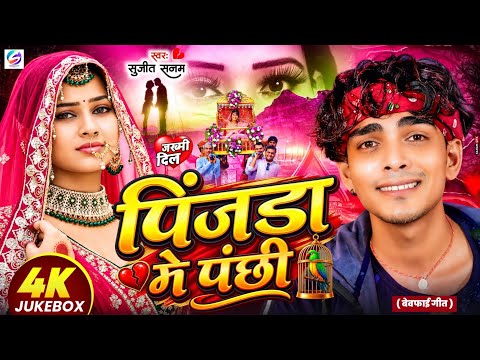 #2026 का वायरल #बेवफाई गाना Bewafai Song पिंजड़ा मे पंछी | #Sujeet Sanam | #Maithili Sad Song 2026